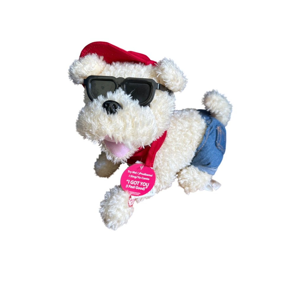 Dan Dee Collectors Choice Singing Dog I Got You I Feel Good Plush Sunglasses Hat